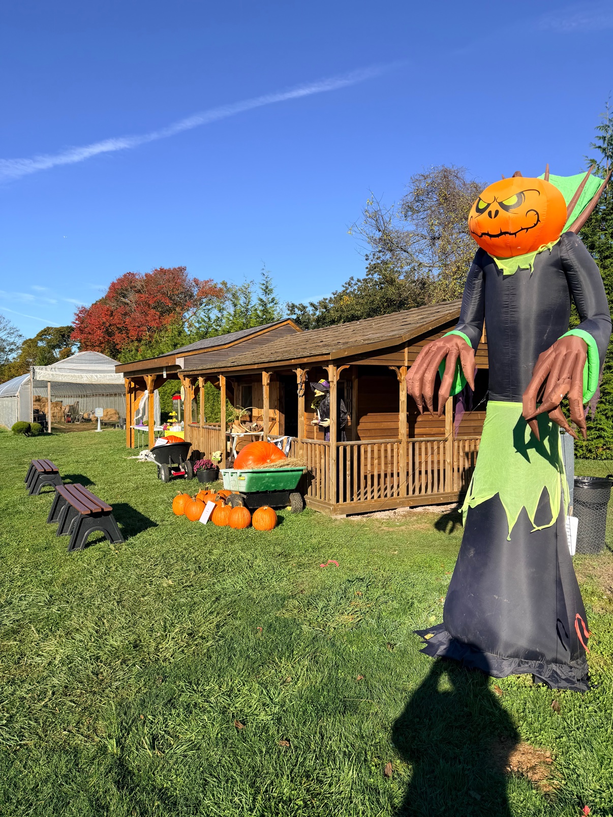 The towering pumpkin-headed greeter by the farm shop