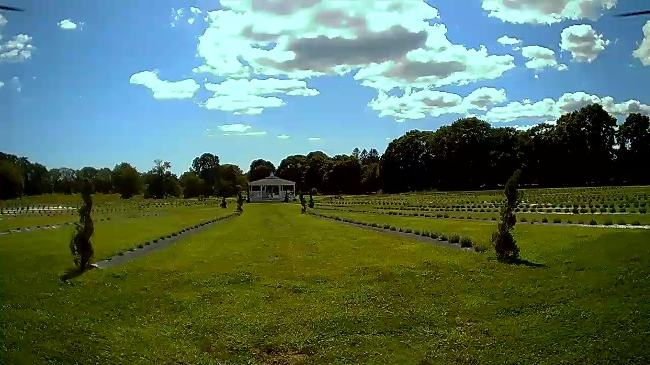 Lavender rows stretching toward the gazebo