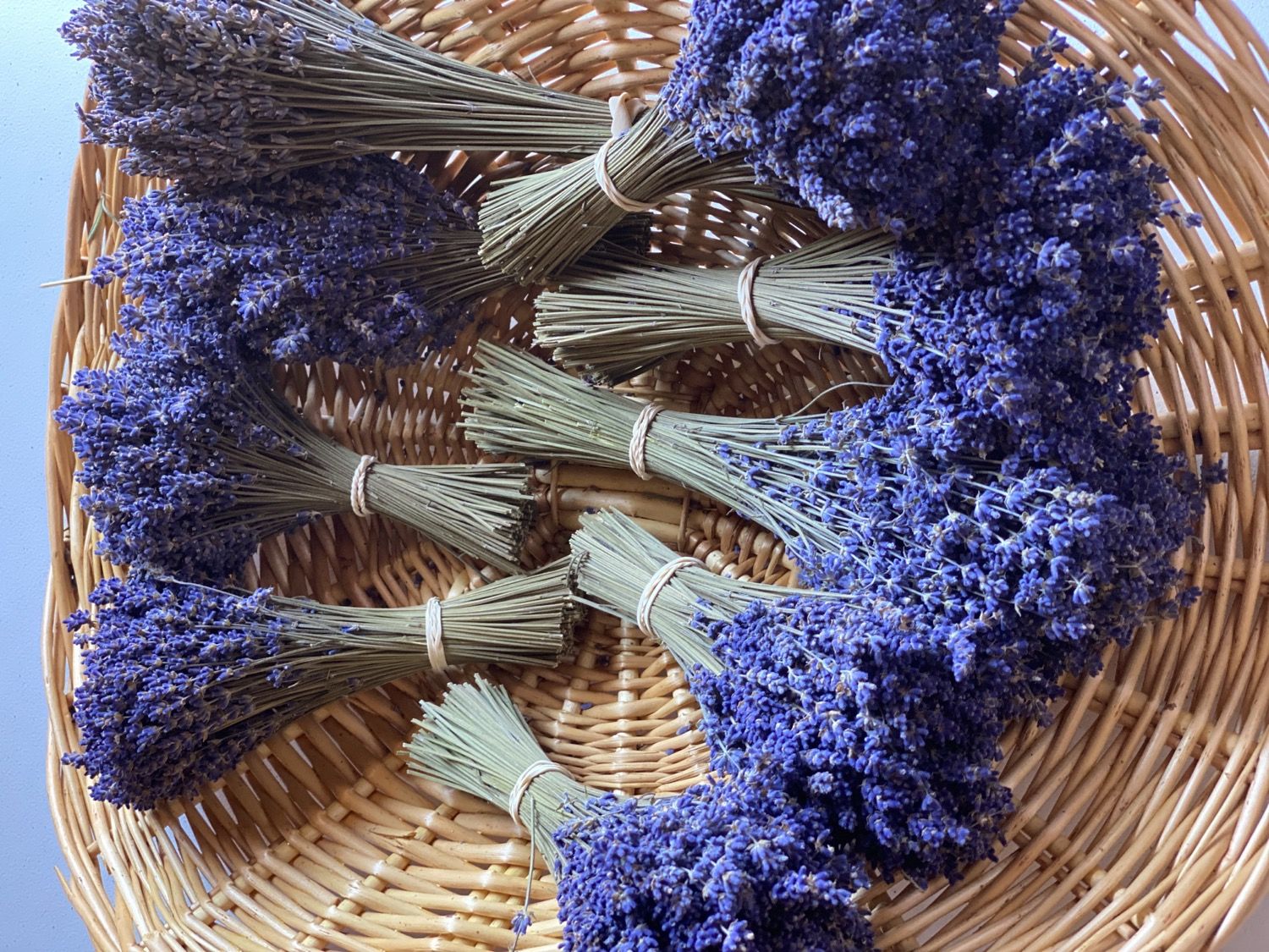 A basket of freshly tied lavender bundles at Lavender Waves Farm