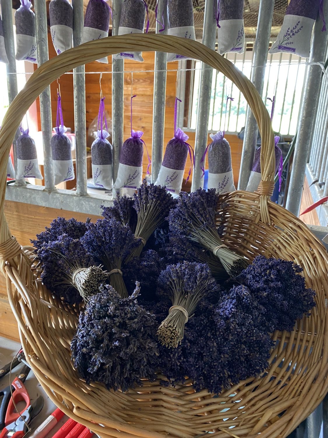 Lavender bundles and sachets in the farm shop