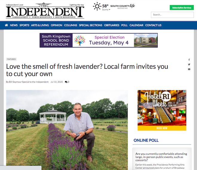 The Independent article: Love the smell of fresh lavender? Local farm invites you to cut your own
